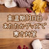 高温期13日目_妊娠検査薬