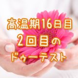 高温期16日目_妊娠検査薬