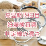 高温期19日目_妊娠検査薬