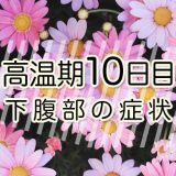 高温期10日目_妊娠検査薬