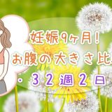 32w2d 妊娠9ヶ月！お腹の大きさ。重さを例えるなら？