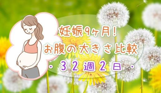 32w2d 妊娠9ヶ月！お腹の大きさ。重さを例えるなら？